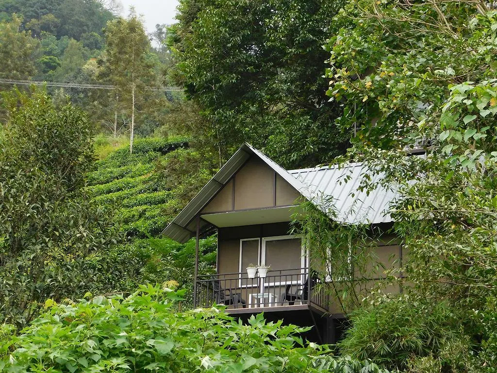 Moselberg Riverside Cottages Munnar India